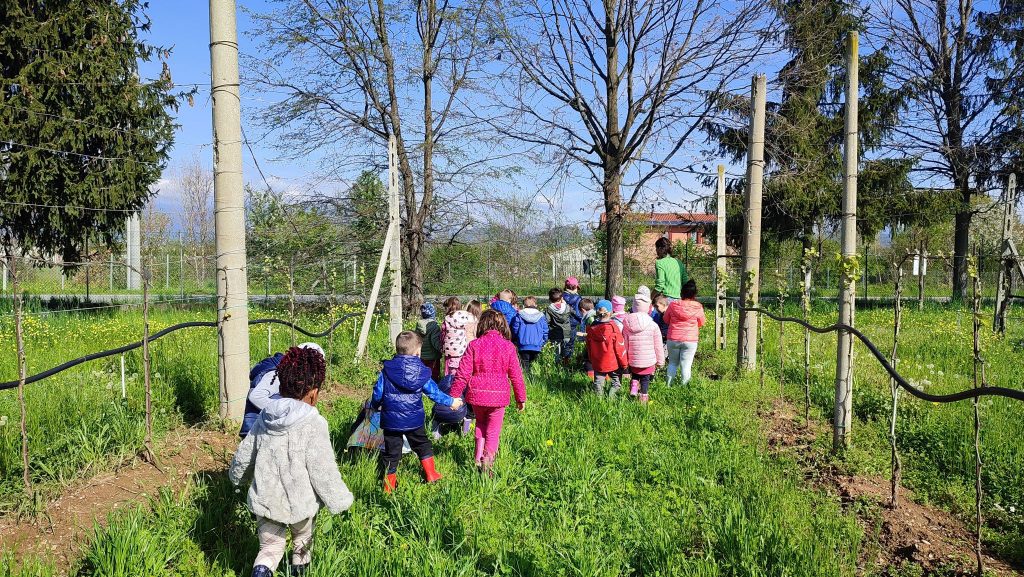 I bambini della scuola di Altivole sono tornati alla fattoria didattica Le Rondin.